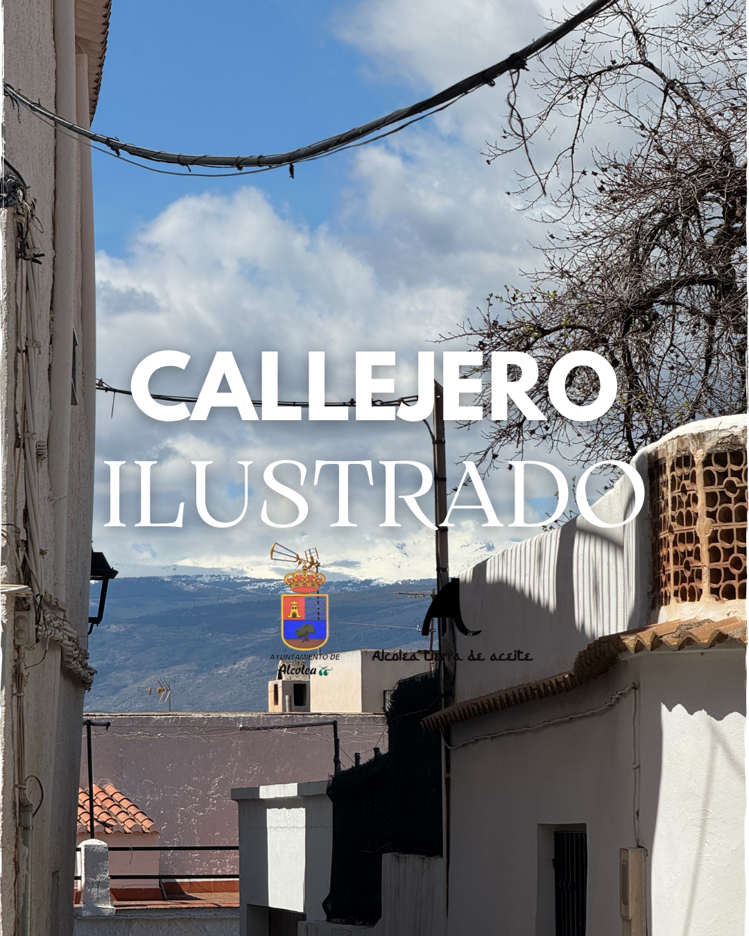 Callejero Alcolea