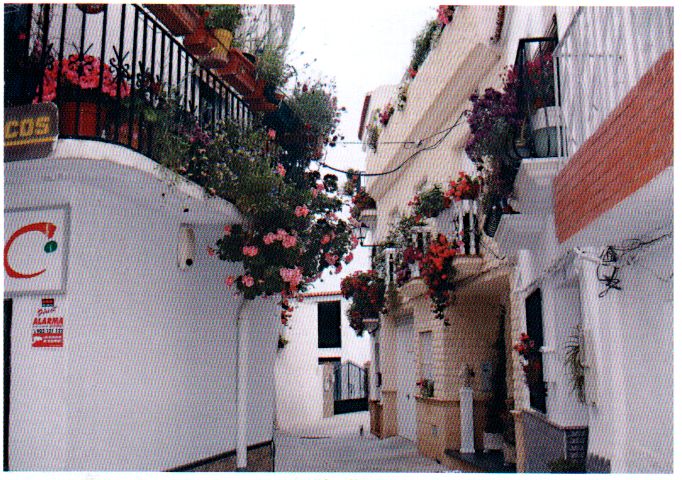 Calle Placilla