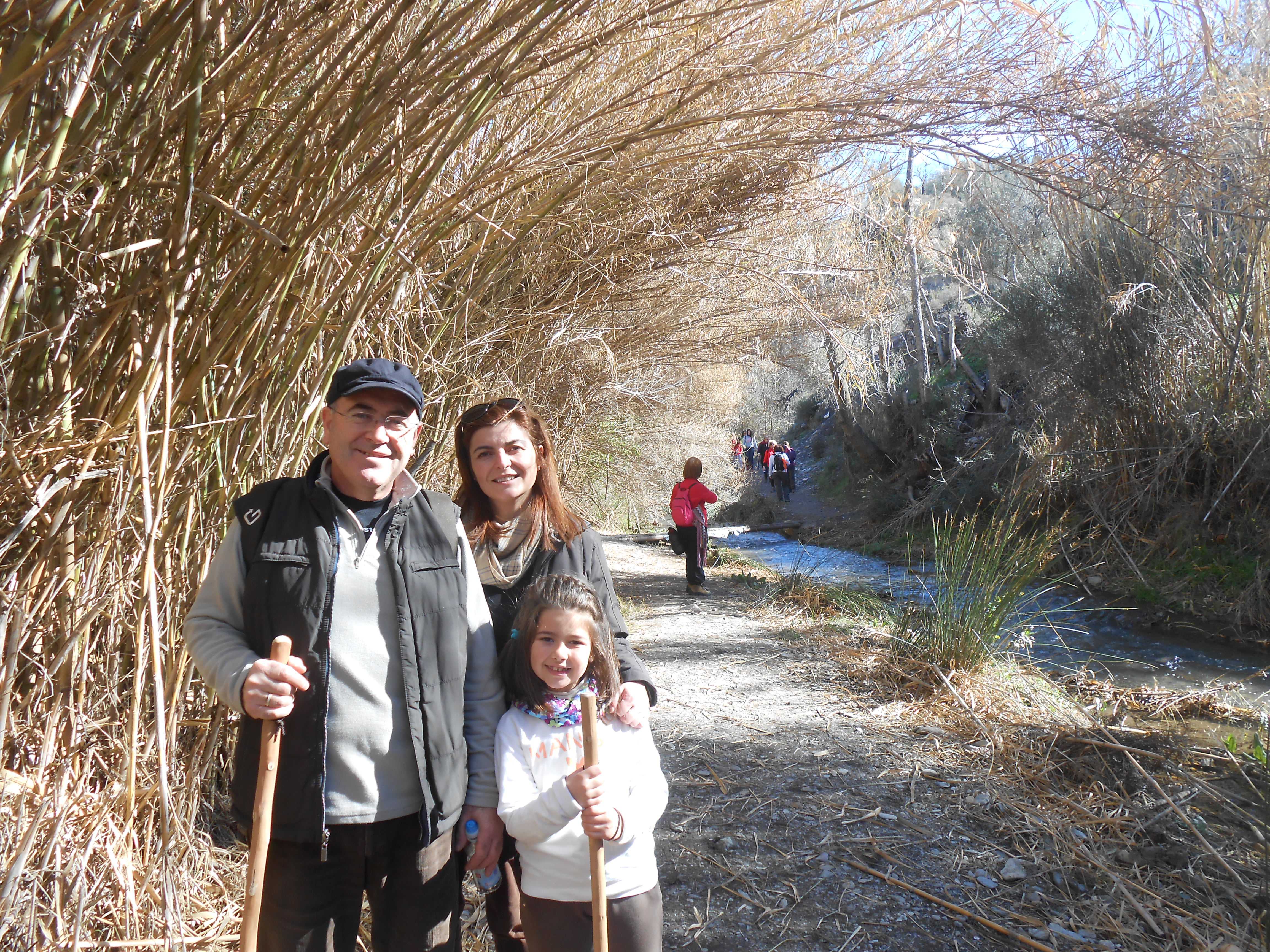 IV Ruta Olivos Centenarios Alcolea 2015