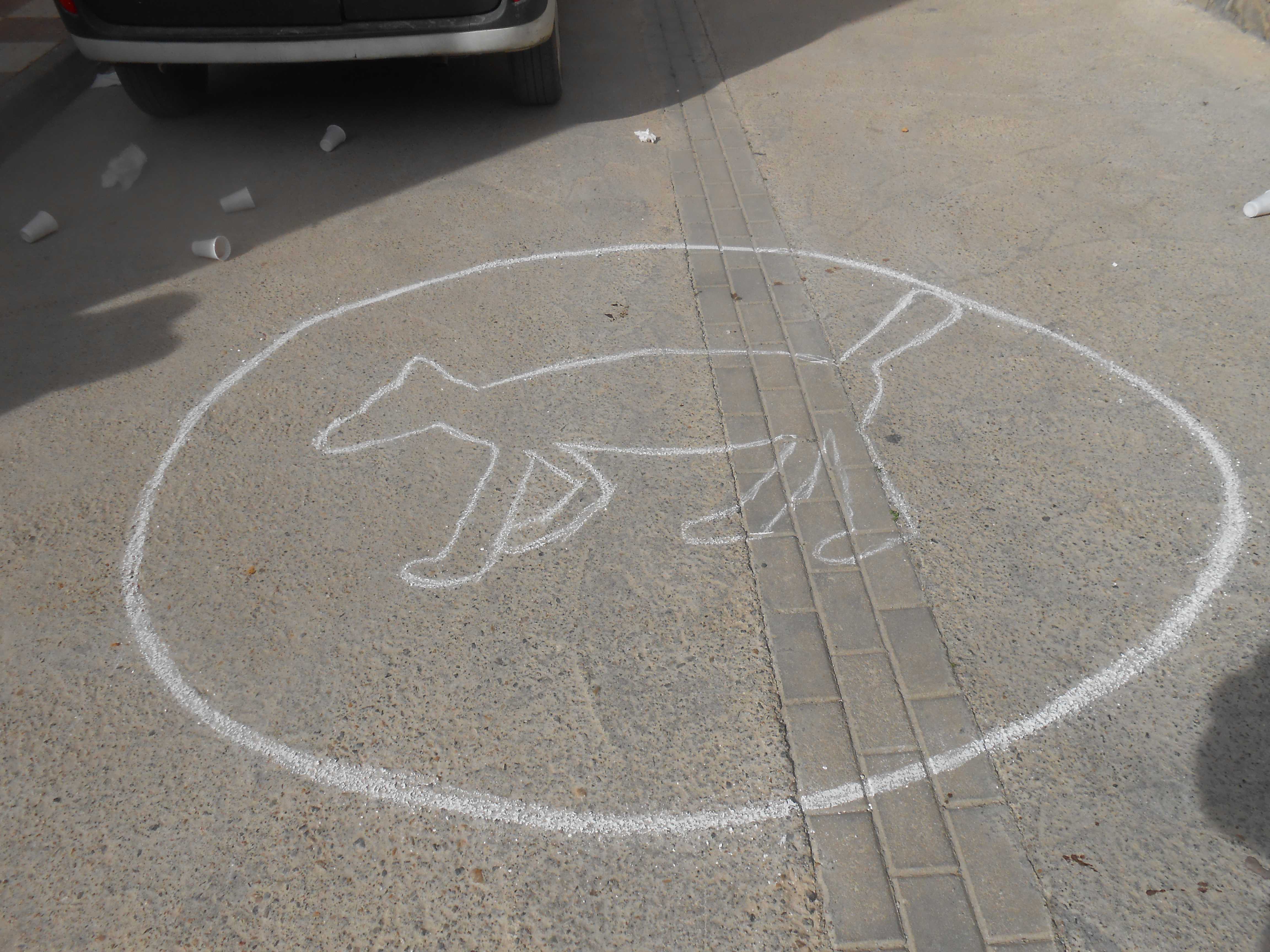 Día Tradicional de la Alpujarra en Alcolea: Buñuelá y Entierro de la Zorra 2015